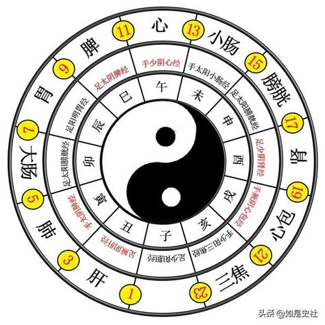 易經 圖|易經入門：太極、兩儀、四象、八卦是什麼意思？